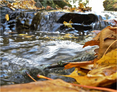 ddos攻击防御手段